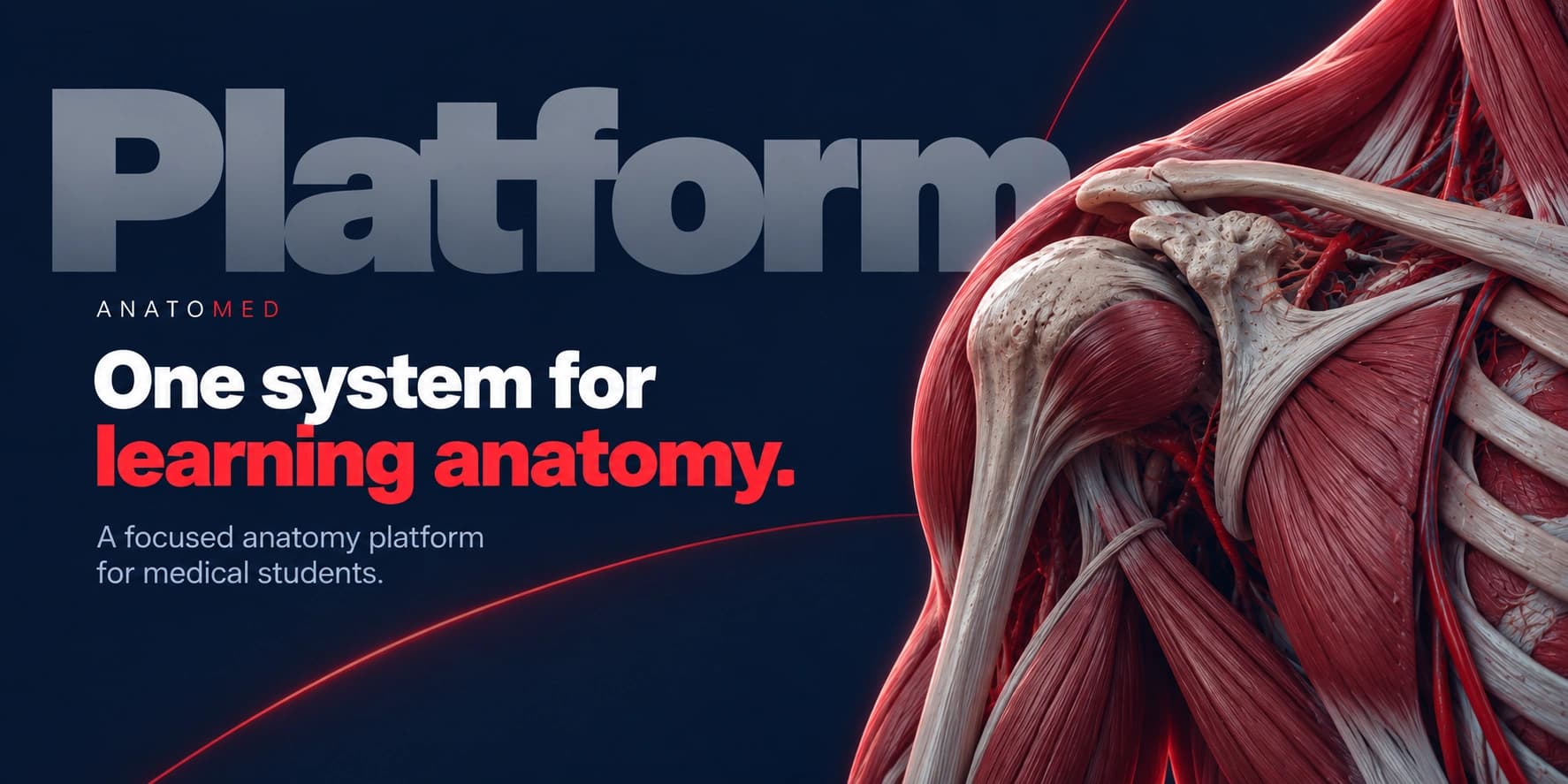 Anatomed Platform